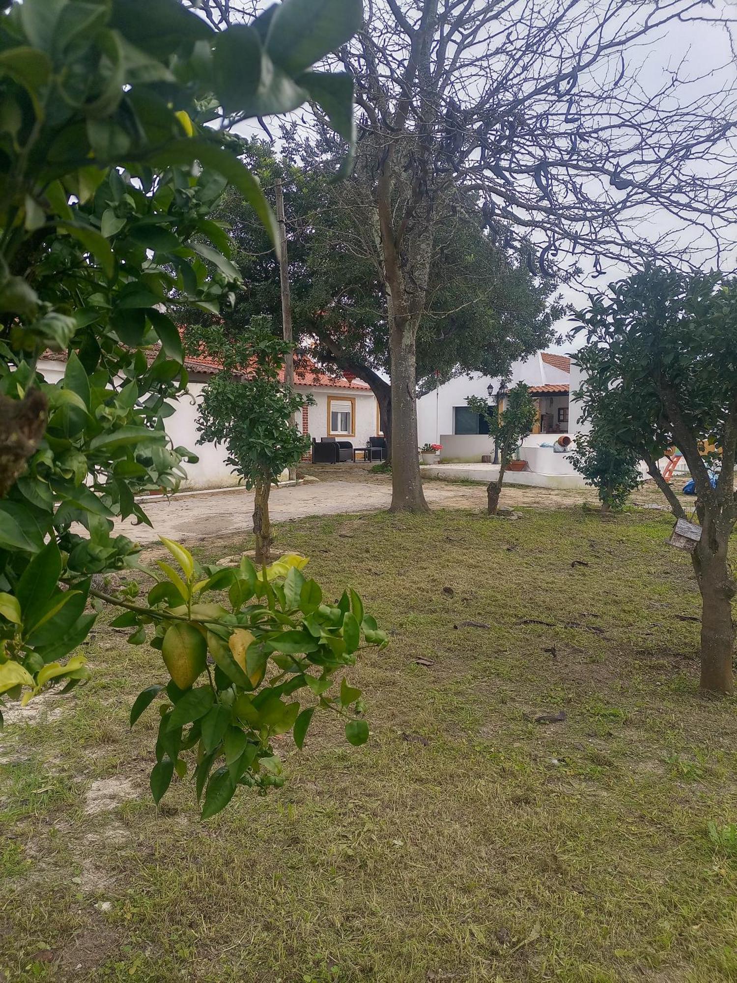 O Mundo Da Lua Villa Azeitao Exterior photo