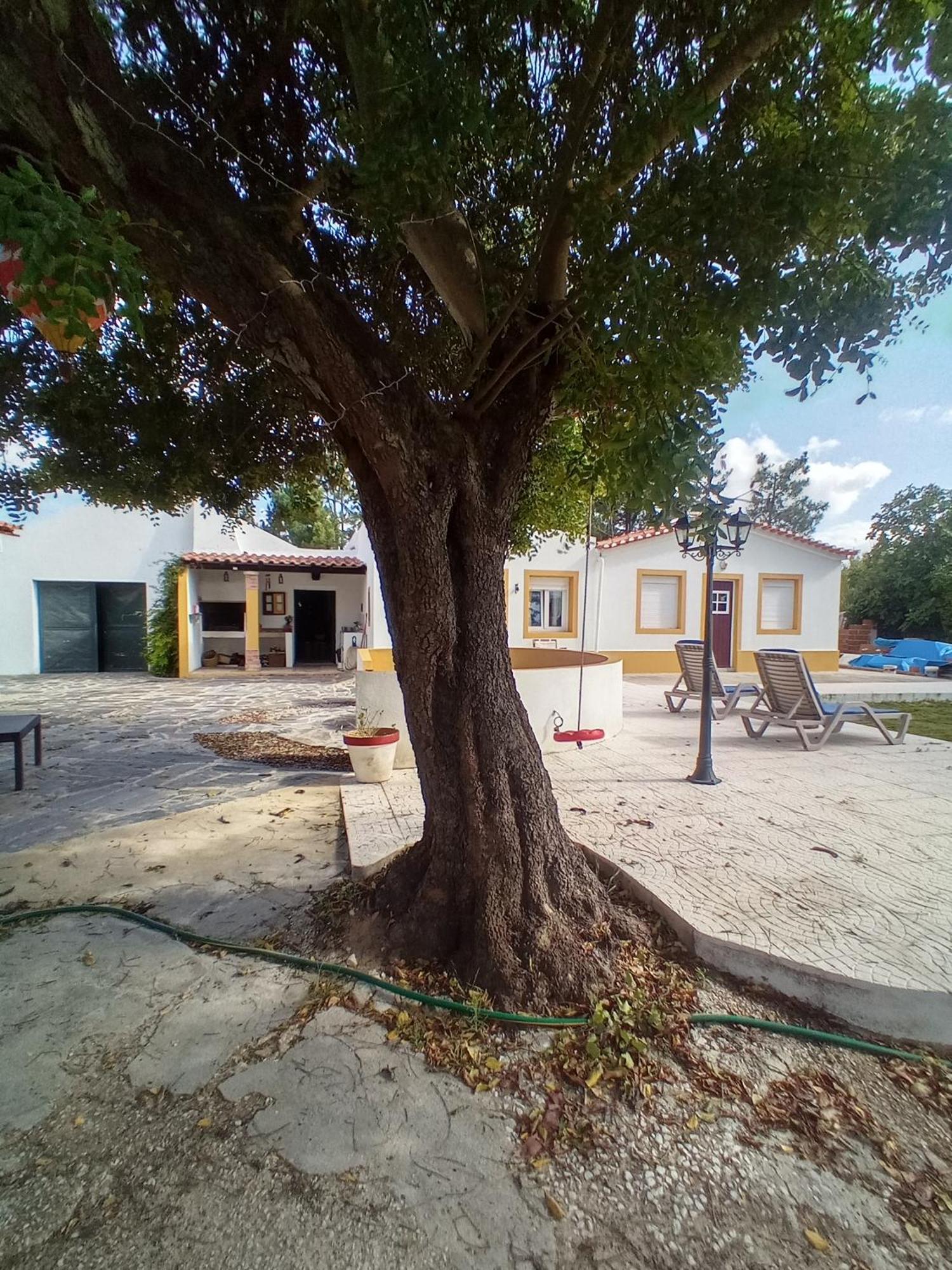 O Mundo Da Lua Villa Azeitao Exterior photo